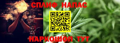 стаф Ярославль
