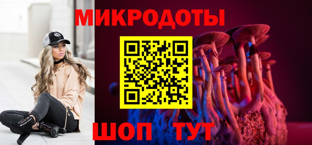 Галлюциногенные грибы Psilocybine cubensis  закладка  Лесосибирск  Вход с VPN 